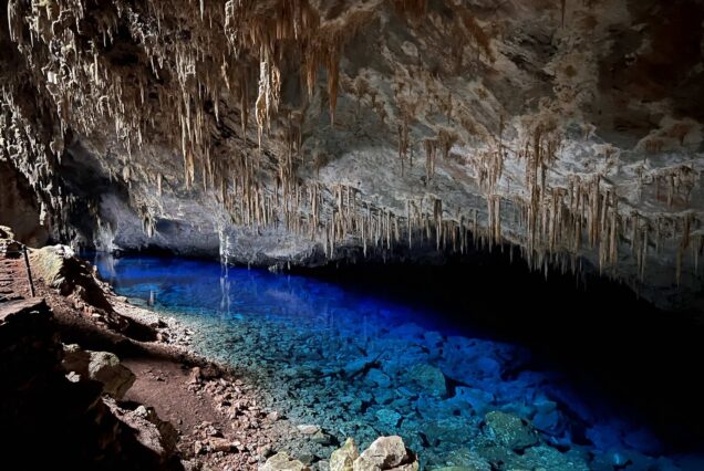 Bonito: uma imersão nas águas cristalinas do Brasil (com day use no Pantanal)
