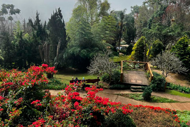 Santo Antônio do Pinhal + Campos do Jordão